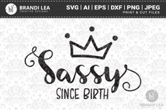 Sassy Since Birth Cutting Files Product Image 1