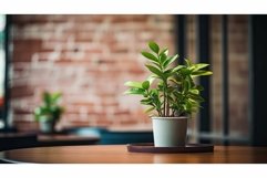 cafe blurred interior plant Product Image 1