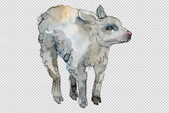 Farm animals lamb Watercolor png Product Image 3