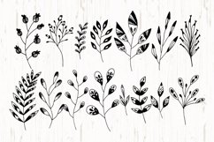 Hand Drawn Element Petals and Leaves Product Image 2