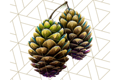 Peacock Christmas Clipart in Jewel Tones, Christmas Png Product Image 5
