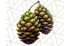 Peacock Christmas Clipart in Jewel Tones, Christmas Png Product Image 5