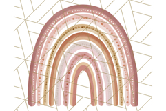 Boho Rainbow PNG Clipart, Earthy Arches &amp; Minimal Shapes Product Image 5