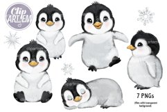 Super Cute Penguin 7 PNG gender neutral images Bundle Product Image 1