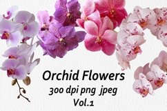 Orchid flowers - Volume 1 Product Image 1