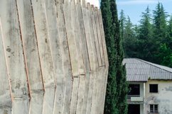 An abandoned house in the green trees. Product Image 1