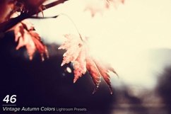 46 Vintage Autumn Colors Lightroom Presets Product Image 1