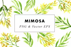 Mimosa | Watercolor Leaves | Illustration ClipArt PNG & EPS Product Image 3