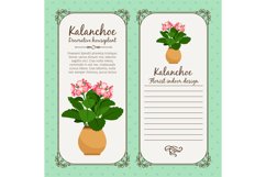 Vintage label with potted flower kalanchoe Product Image 1