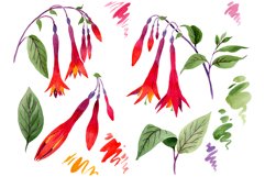Orange-red Fuchsia watercolor png Product Image 1