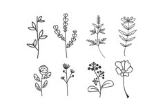 Hand-Draw With Herb And Flowers Collection Product Image 1
