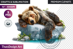 Bear Watercolor Arctic Winter Animal Clipart Wildlife PNG Product Image 1