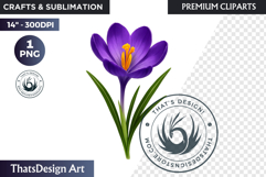 Flower Clipart PNG, Botanical Illustration Floral graphic Product Image 1