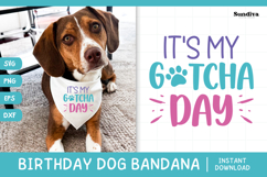 Cute Birthday Dog Bandana Quote SVG | Gotcha Day Product Image 1