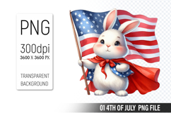 4th Of July Bunny Sublimation Clipart PNG Design Product Image 1