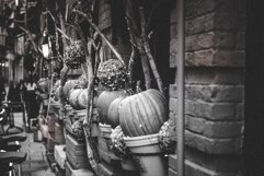 620 Halloween Time Lightroom Presets Product Image 14