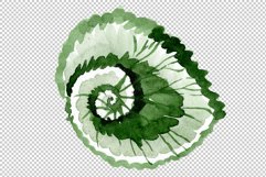 Begonia leaves Watercolor png Product Image 7