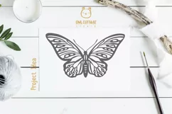 Butterfly SVG, butterfly PNG, butterfly silhouette Product Image 4