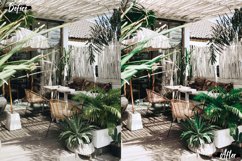 Neo Tropical Theme mobile lightroom presets Product Image 10