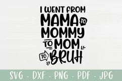 Sarcastic Mom SVG | I Went From Mama to Mommy to Bruh Product Image 2