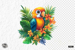 Tropical Birds Clipart - Summer Birds PNG Product Image 1