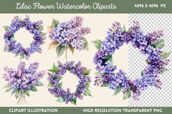 Lilac Flower Watercolor Cliparts PNG Product Image 1
