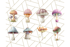 Mushroom Clipart, Realistic Forest Mushrooms PNG Product Image 7