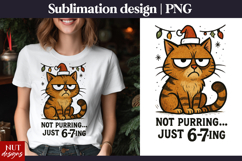 Grumpy Cat 6-7 Meme Christmas t shirt sublimation Product Image 1