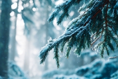 Winter Pine Branch Background PNG, Winter Background Product Image 1