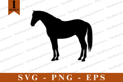 Horse SVG, Horse vector, Horse Silhouette, Cut files Product Image 1
