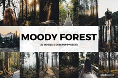 20 Moody Forest Lightroom Presets and LUTs Product Image 1