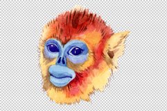 Primates Watercolor png Product Image 3