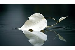 organic white leaves background Product Image 1