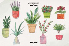 Plants In Pots Watercolors Clipart Elements Cute Florals Product Image 3