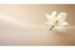 soft smooth biege background Product Image 1