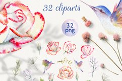 Watercolor set roses and hummingbird Product Image 3