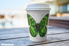 St Patricks Day Butterfly Clipart Product Image 8