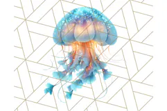 Coral and Aqua Summer Clipart PNG Pastel Tropical Icons Product Image 4