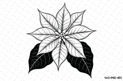 Christmas Poinsettia Svg | Christmas Svg | Svg Cut Files Product Image 1