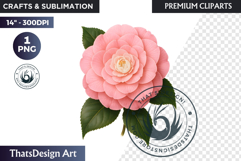 Flower Clipart PNG, Botanical Illustration Floral graphic Product Image 1