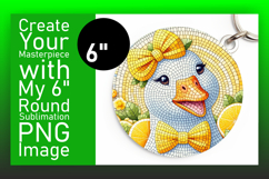 Bright Circle Design for Coasters , Goose Product Image 1