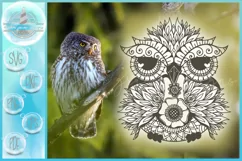 Owl Mandala Zentangle SVG | Owl SVG | Mandala SVG Product Image 1