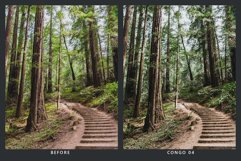 20 Forestry Lightroom Presets &amp; LUTs Product Image 9