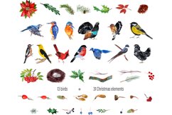 Watercolor clipart Winter birds Product Image 2