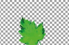 Green leaves and branches watercolor clip art pack, hand painted leafs collection. PNG, jpg, svg, vector illustrator &amp; corel files included Product Image 2