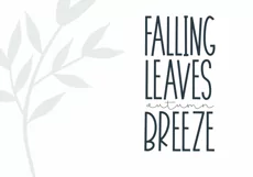 November - A Tall Handwritten Font - Free Font of The Week Product Image 5
