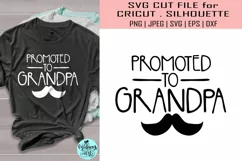 Promoted to grandpa svg, grandpa svg Product Image 1