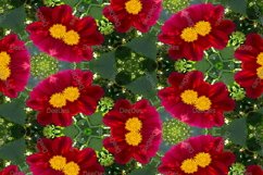 12 abstract Seamless colorful FLOWER patterns pack. Product Image 10