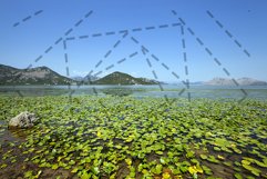 the lake Product Image 1
