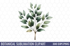 Botanical Sublimation Clipart Product Image 1
